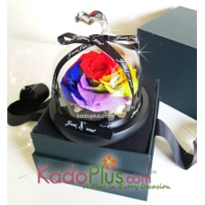 Eternity Rainbow Rose